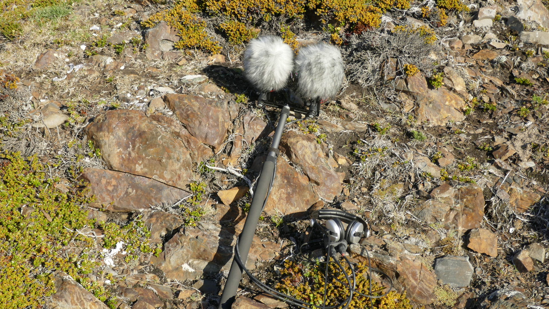 Field Recording: History and A Practical Introduction with Paula Schopf