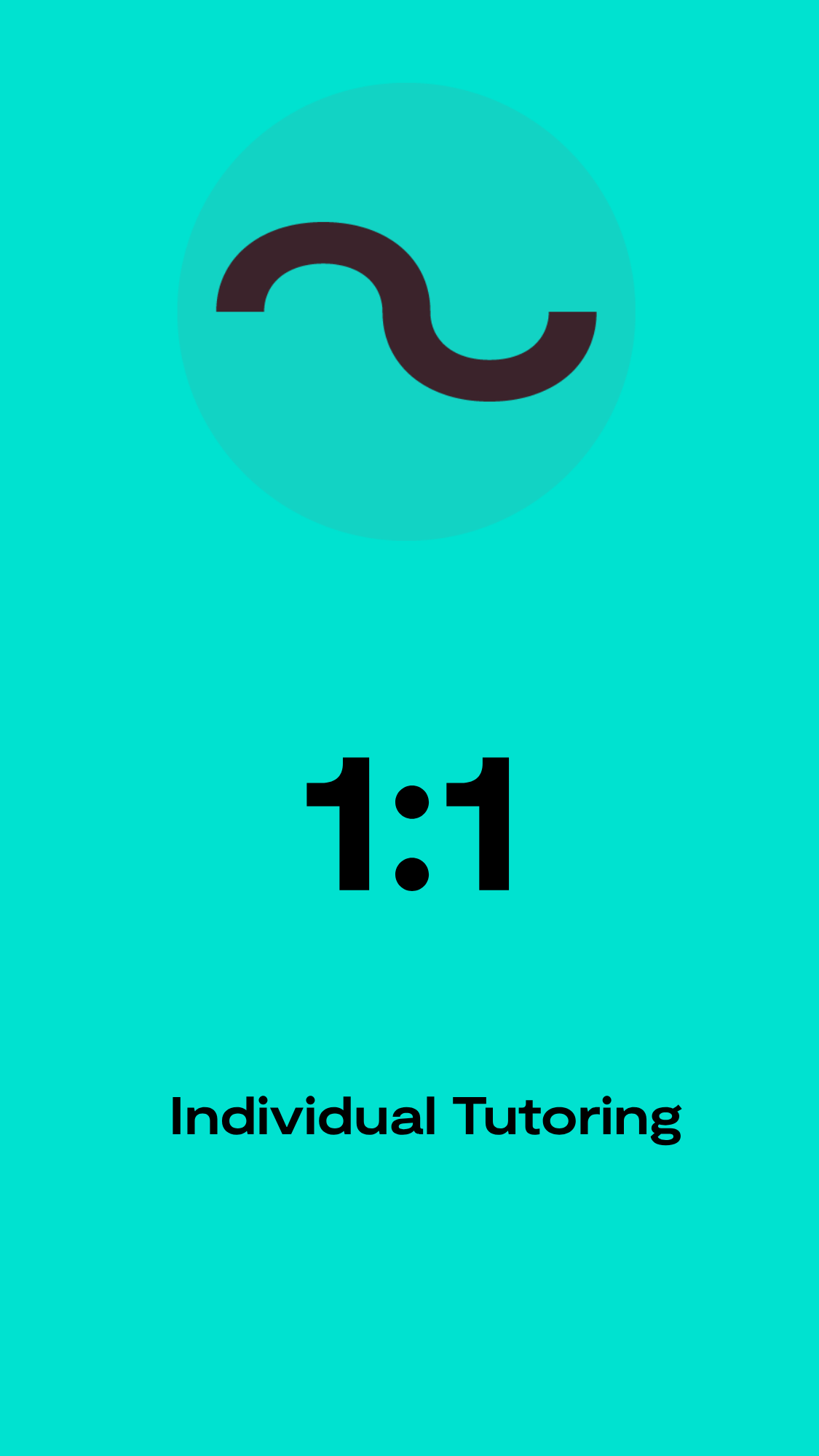 1:1 Tutoring and Mentorship with one of Our Teachers.